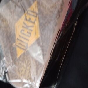 Triangular AMC Wicked Limited Edition Collectable Bucket🎁